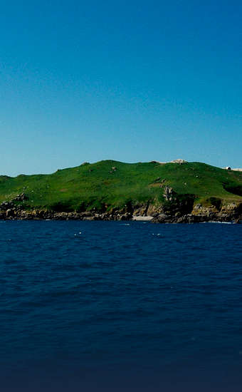 Photo of Île Rouzic (Archipel des Sept-Îles) (22) by Raphodon