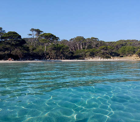 Photo of Île de Porquerolles (83) by creationElle
