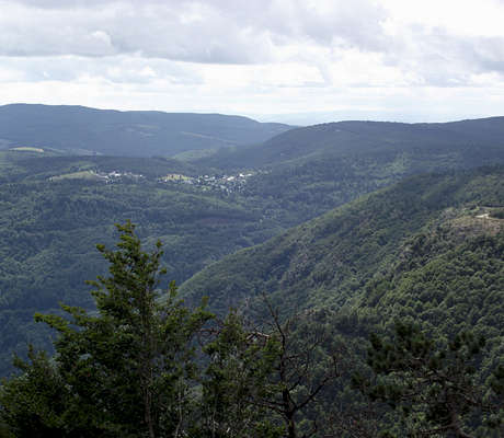 Photo of Forêt du Mont-Aigoual (30) by Jmp48