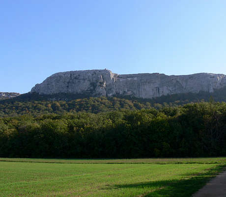 Photo of Forêt de la Sainte-Baume (83) by Jodelet / Lépinay